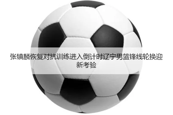 张镇麟恢复对抗训练进入倒计时辽宁男篮锋线轮换迎新考验
